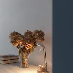 Casa Gigio 011030-lt-0223 아파트 베르나차